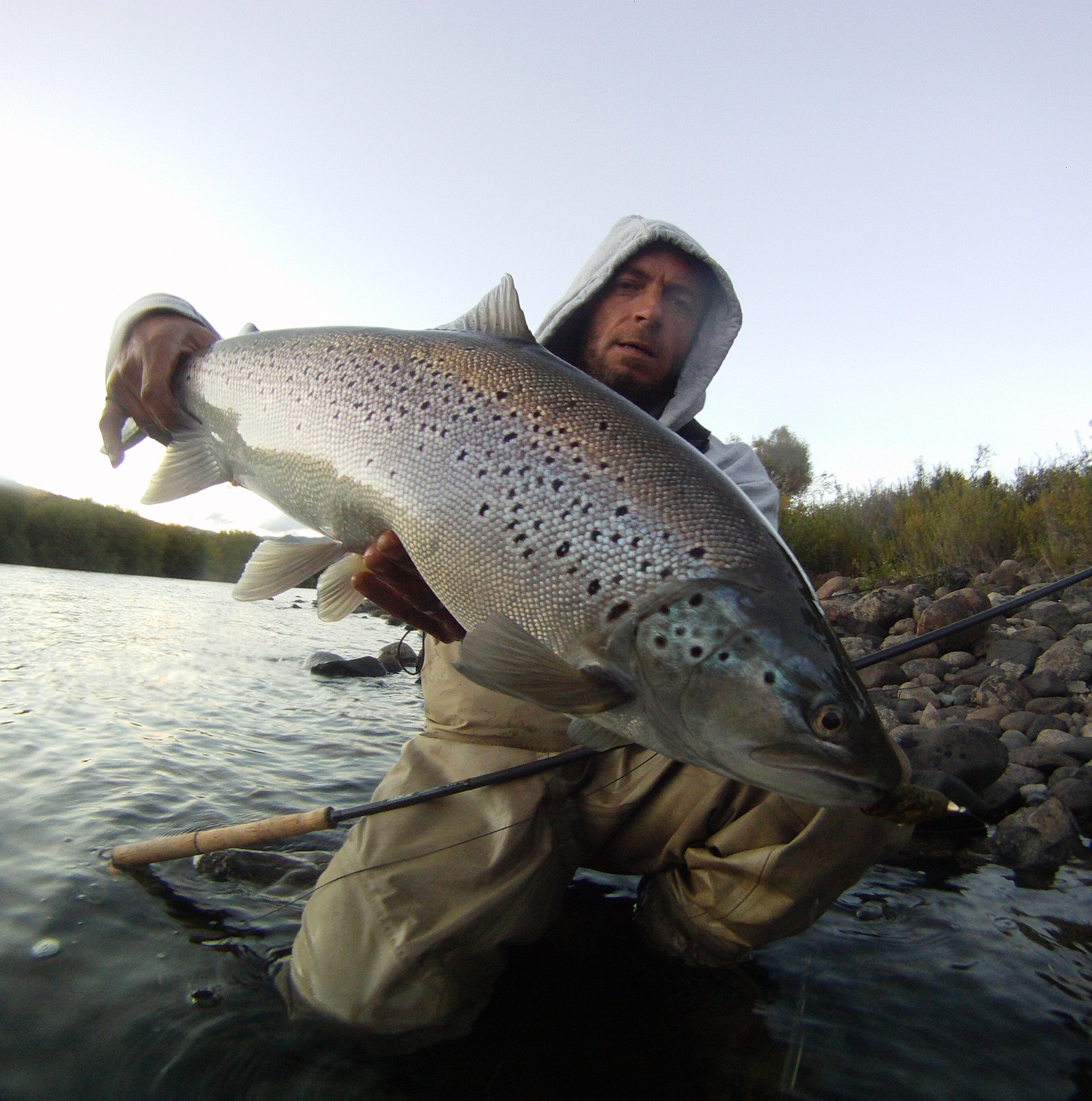 Another Limay Brown