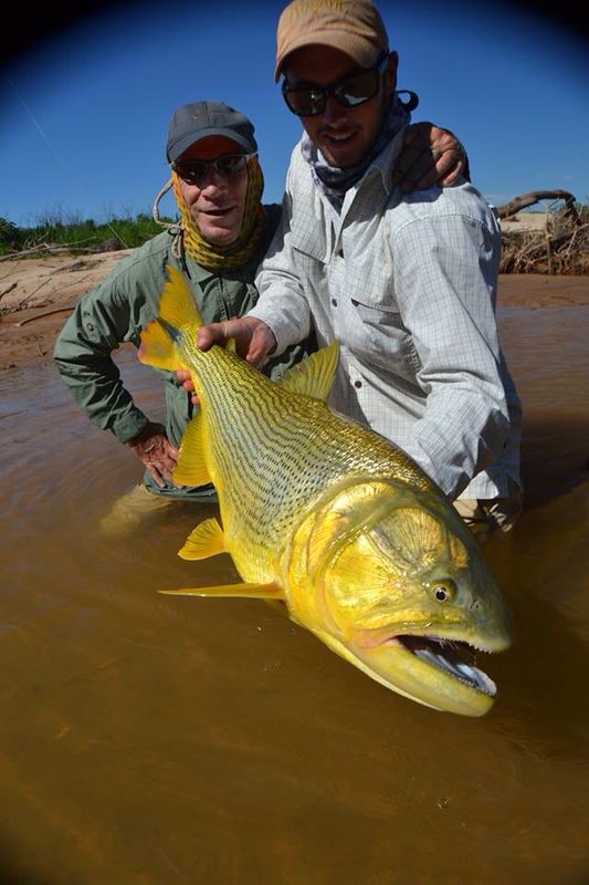 Photo of the day -Dorado@Tsimane Lodge-