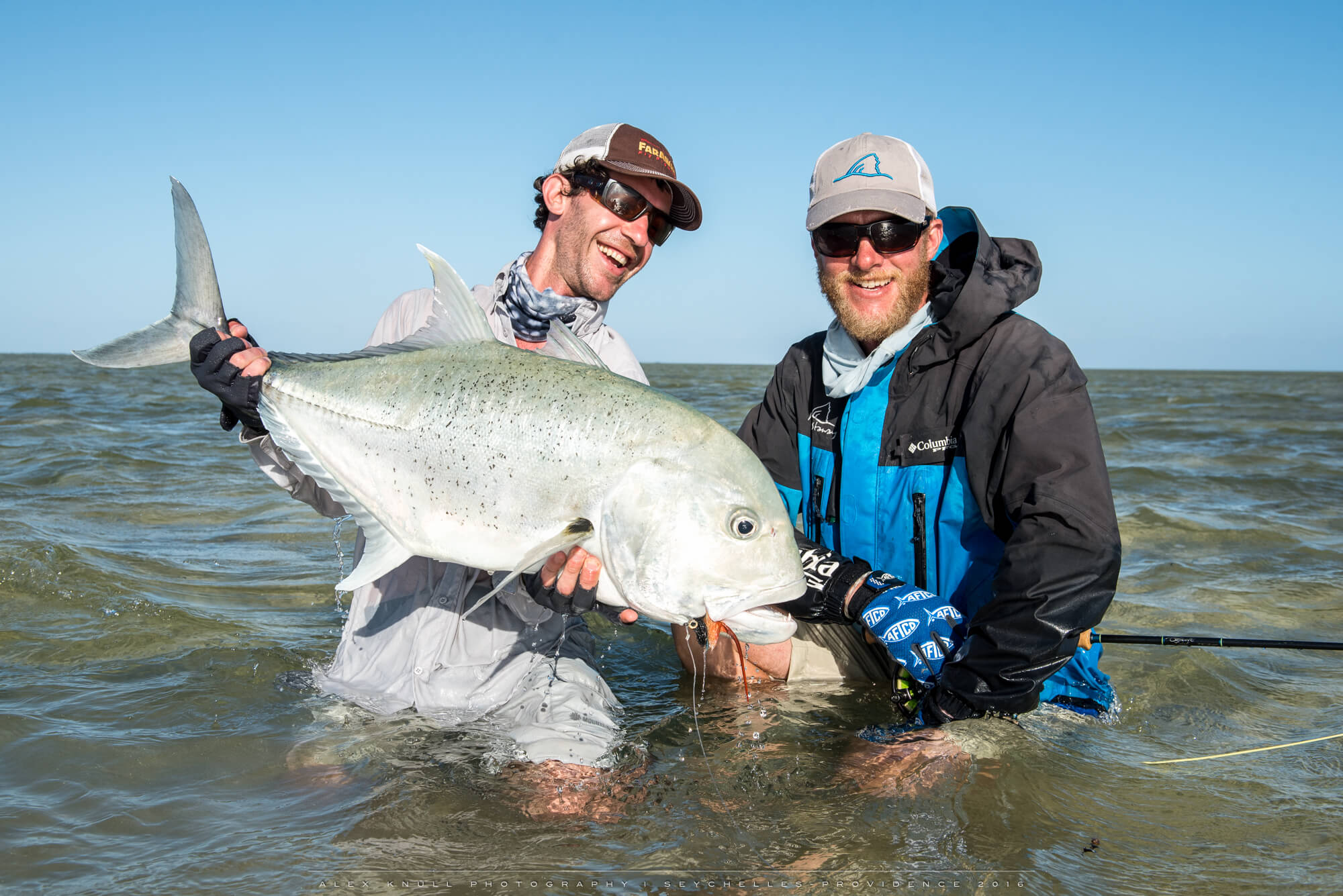 Faraway News: Tierra del Fuego & Seychelles Prime Availability