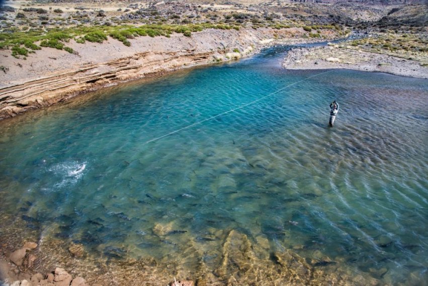 Jurassic Lake Lodge – Last Minute Special on Lago Strobel