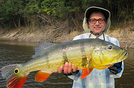 Brazil Special Safari Offer