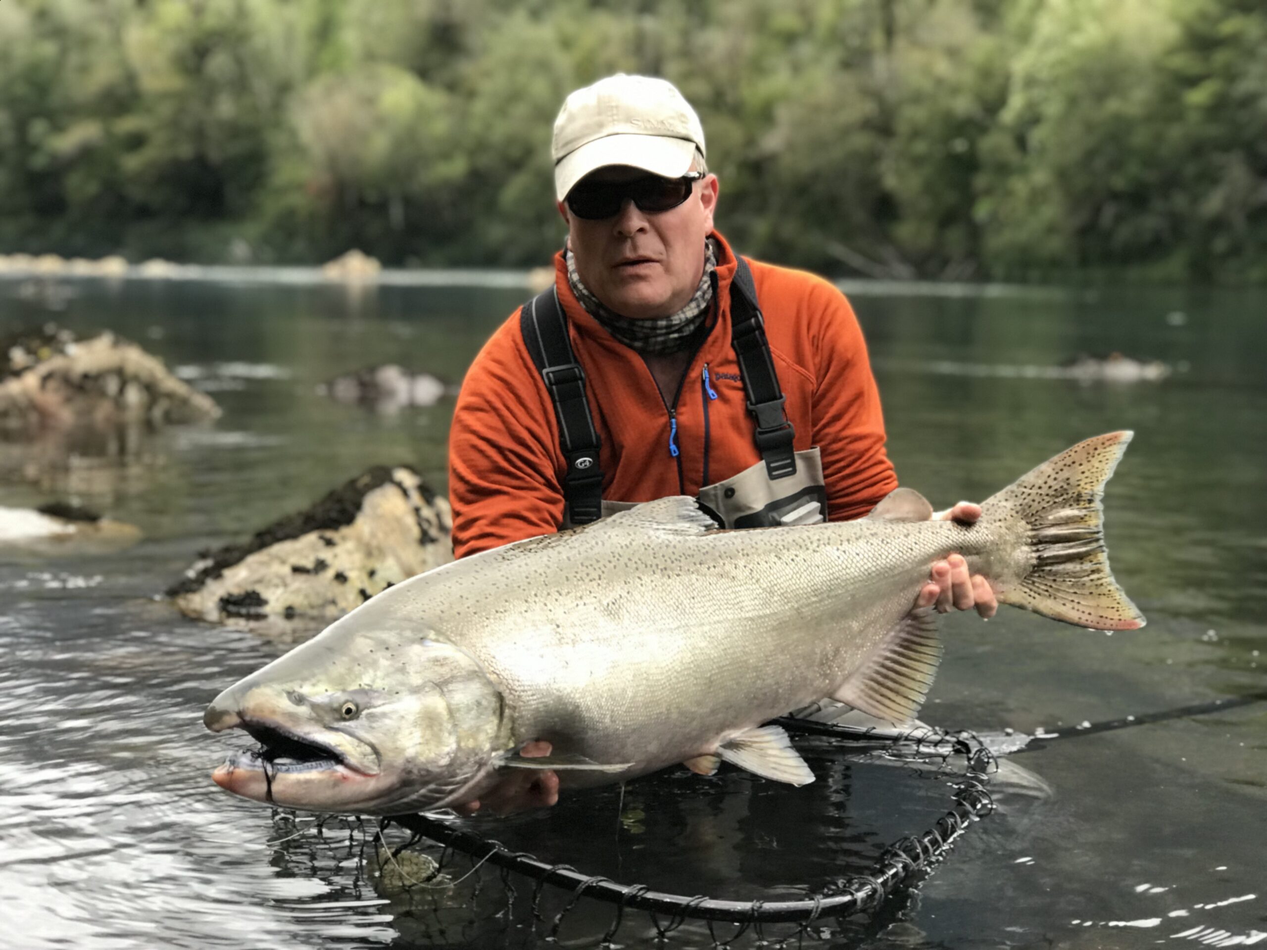 Austral Kings – 2022 season prime Availability
