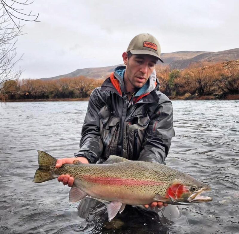 Limay River Rainbow trout