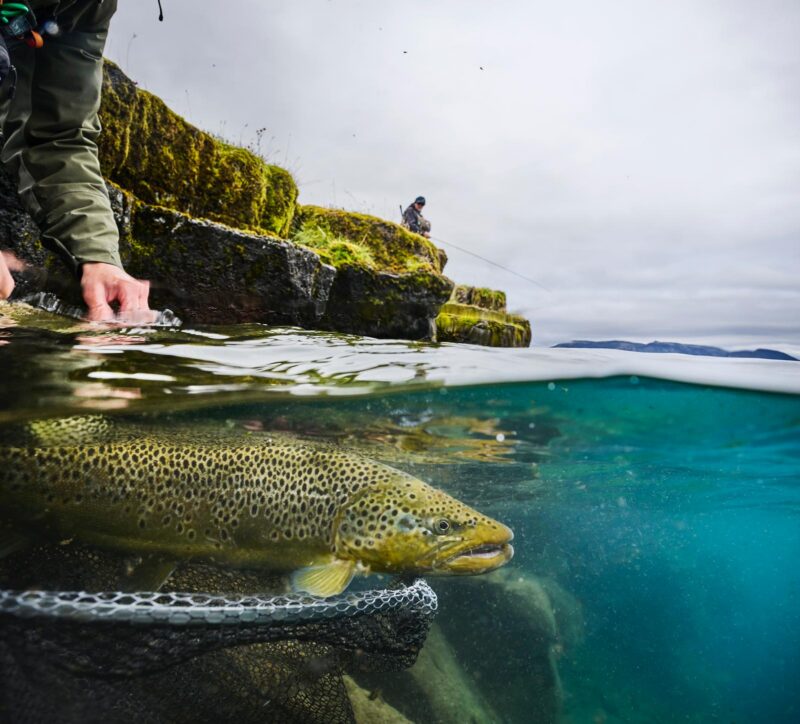 Highlands Lodge Iceland Trout Fishing
